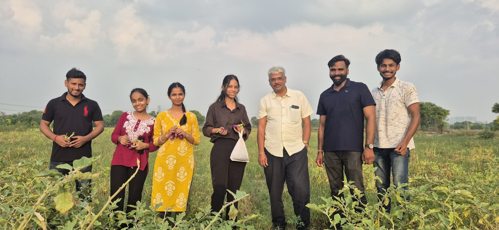 SOILQ By Rise Foundation